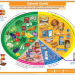 Supplements: The Key to a Balanced Diet Guide