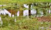 Stormwater Drain Solutions in Wollongong: Causes Explained
