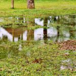 Stormwater Drain Solutions in Wollongong: Causes Explained