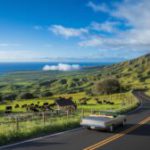 Scenic Routes and Hidden Gems for a Maui Upcountry Adventure