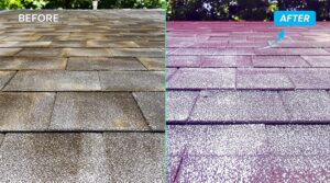 Understanding the Distinctions Between House Washing Techniques