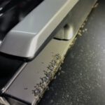 Ant Infestation: Effective Pest Control for Your Schofields Car