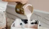 Exterior Paint Jobs: Tips for Success in Sydney’s Humidity