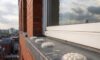 Bird Proofing Solutions: Gel Repellent Choices Without Spikes