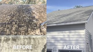 Explore the Essential Role of Soft Washing in Effective Home Maintenance