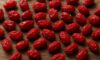 Dried Barberries in Persian Cuisine: Traditional Recipes