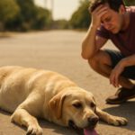 Heat Exhaustion Treatment for Pets: Essential Recovery Advice