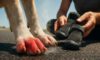 Pavement Safety Tips for Dogs: Key Summer Guidance