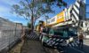 Crane-Assisted Tree Removal: A Case Study from Edgeworth