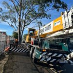 Crane-Assisted Tree Removal: A Case Study from Edgeworth