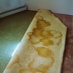 Carpet Disposal Made Easy with Underlay Solutions in Sydney
