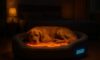 Temperature-Controlled Pet Beds: Ultimate Comfort Solutions