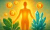 Clean Energy Supplements: Energise Your Day with Smart Choices