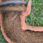 Tree Roots in Drains: Solving the Sutherland Shire Problem