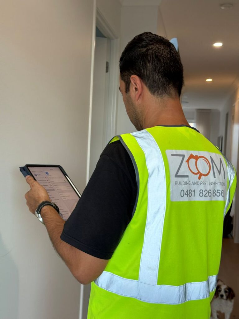 Building and Pest Inspection in Brisbane: A Quick Comparison