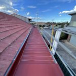 Colourbond vs Polycarbonate Pergolas for Roof Replacement